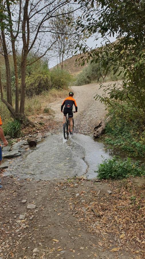 La Colina Ladyblue Apto Acogedor Cerca De Sierra Nevada Y Alhambra Cenes De La Vega Zewnętrze zdjęcie