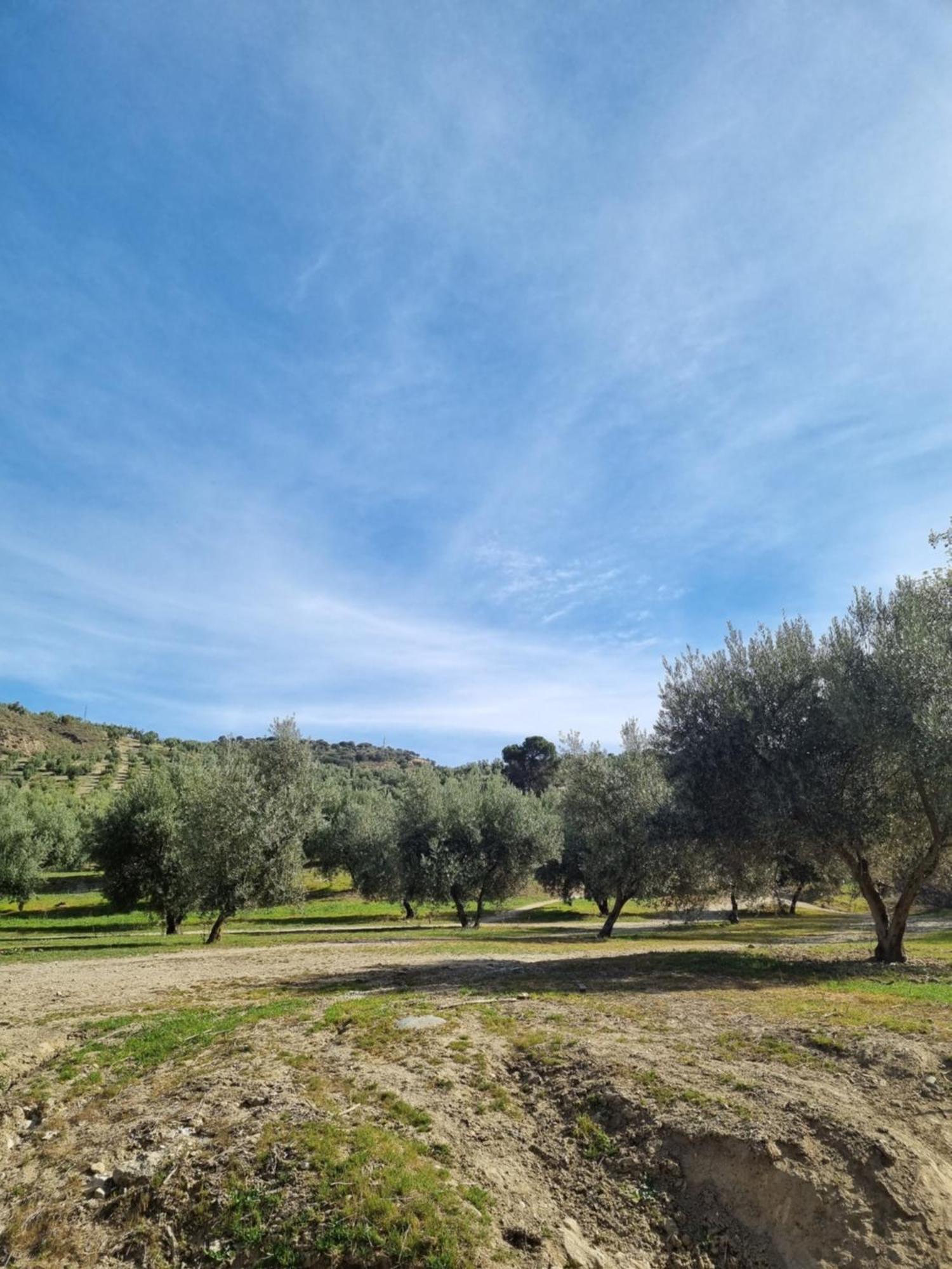 La Colina Ladyblue Apto Acogedor Cerca De Sierra Nevada Y Alhambra Cenes De La Vega Zewnętrze zdjęcie