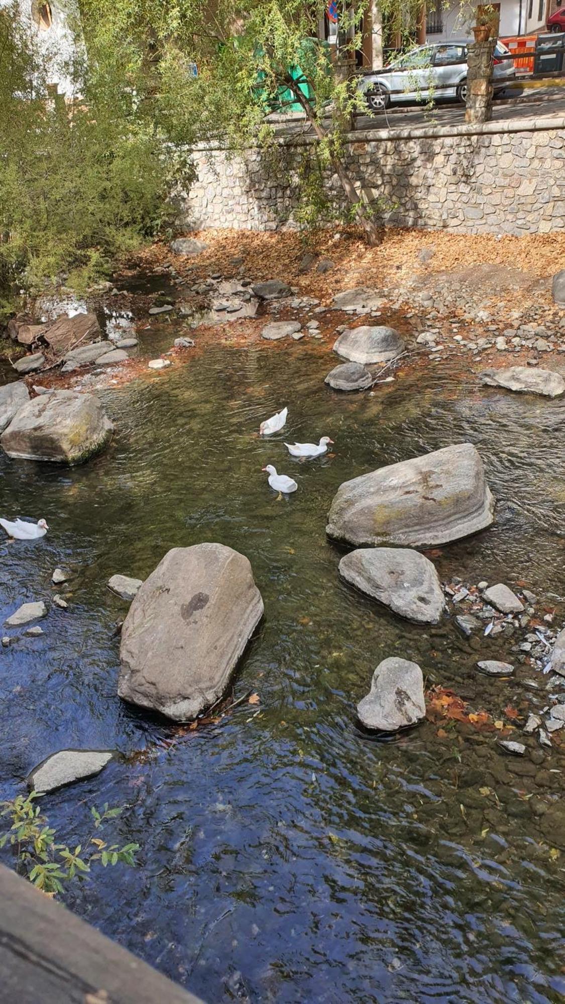 La Colina Ladyblue Apto Acogedor Cerca De Sierra Nevada Y Alhambra Cenes De La Vega Zewnętrze zdjęcie